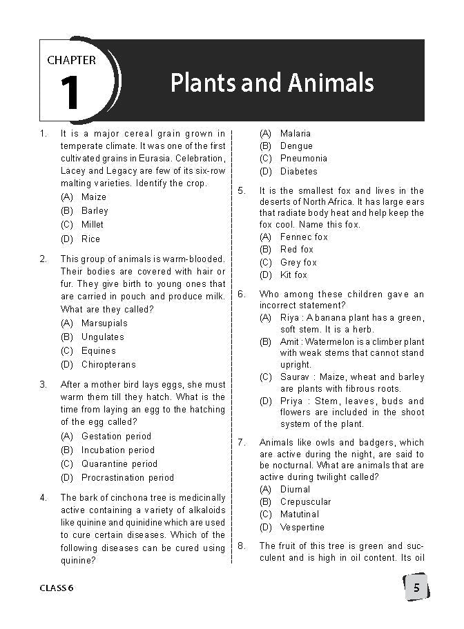 Class 6 IGKO International General Knowledge Olympiad Work Book - MTG