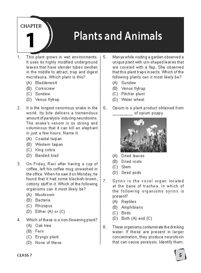 Class 7 IGKO International General Knowledge Olympiad Work Book - MTG