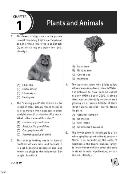 Class 10 IGKO International General Knowledge Olympiad Work Book - MTG