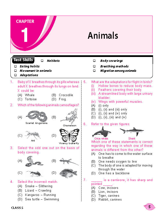 Class 5 NSO National Science Olympiad Work Book - MTG