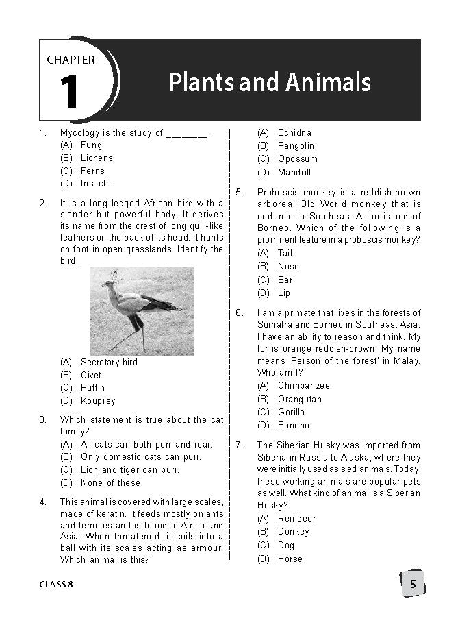 Class 8 IGKO International General Knowledge Olympiad Work Book - MTG